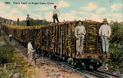 Carico di canna da zucchero in partenza dal campo, Cuba, 1915 da Unbekannt