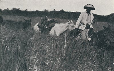 Viaggio nelle Pampas, 1916 da Unbekannt