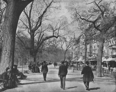 Tremont Street e The Common, Boston, USA, c1900 da Unbekannt