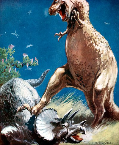 Triceratopo, un dinosauro cornuto, trattenuto da un Tirannosauro, c1920 da Unbekannt