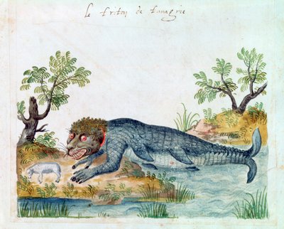 Tritone, XVI secolo da Unbekannt