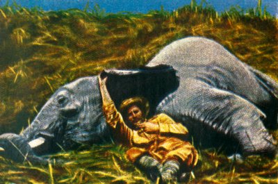Cacciatore di trofei con elefante morto da Unbekannt