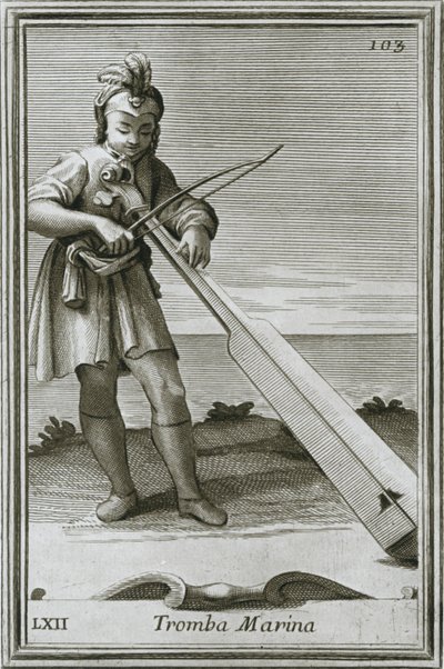 Trumscheit tromba marina, incisione dal libro Cabinetto armonico di F. Bonanni, Roma, 1722 da Unbekannt