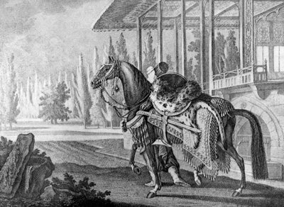 Cavallo arabo del pascià turco, 1722 1938 da Unbekannt