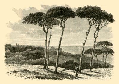 Tusculum da Unbekannt