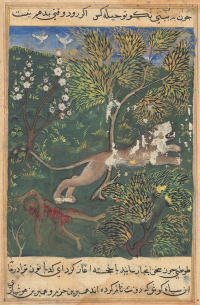 Tuti-Nama Racconti di un pappagallo: Racconto XXIX, c. 1560 da Unbekannt