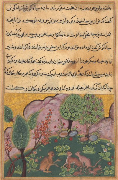 Tuti-Nama Racconti di un pappagallo: Racconto XXIX, c. 1560 da Unbekannt