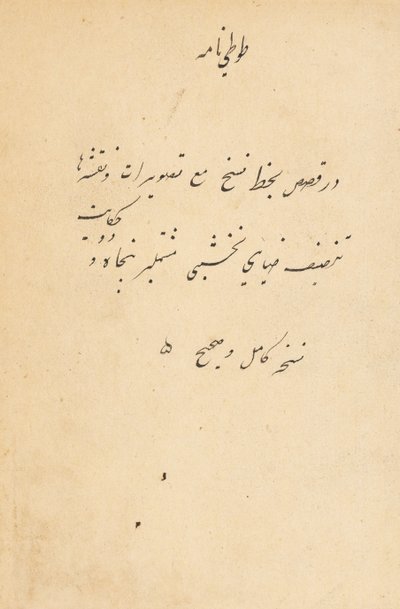 Tuti-Nama, racconti di un pappagallo, c. 1560 da Unbekannt