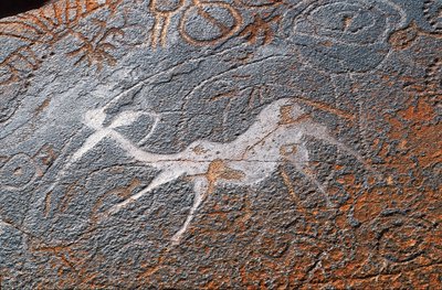 Pitture rupestri di Twyfelfontein, DAMARALAND, NAMIBIA da Unbekannt