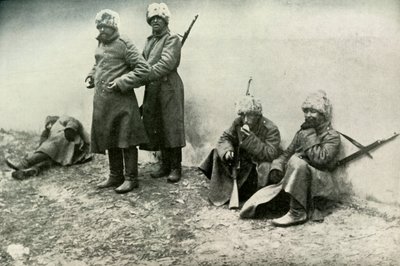 Tipi dell