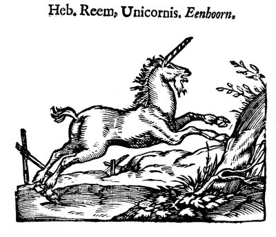 Unicorno da Unbekannt
