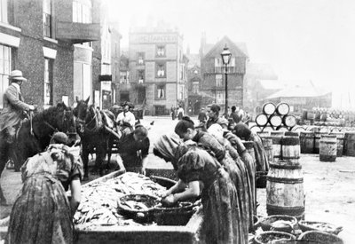 Regno Unito: Lavoratrici scozzesi che puliscono aringhe a Scarborough. Scarborough, c1890 da Unbekannt