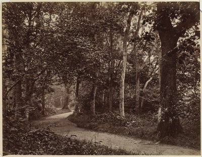 Paesaggio Senza Titolo, primi anni 1860 da Unbekannt