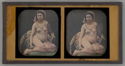 Ritratto di una Donna Nuda da Unbekannt
