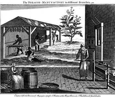 Varie fasi della produzione del tabacco, Virginia, USA, 1750 da Unbekannt