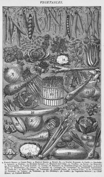 Verdure, 1907 da Unbekannt