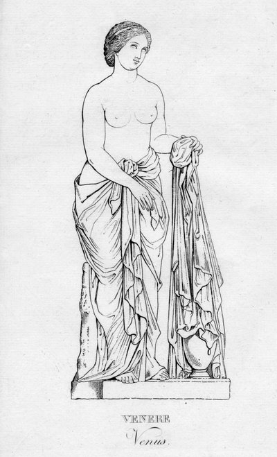 Venere da Unbekannt