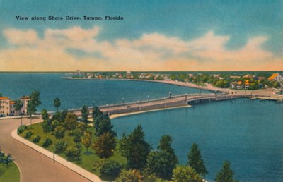 Vista lungo Shore Drive, Tampa, Florida, c1940s da Unbekannt