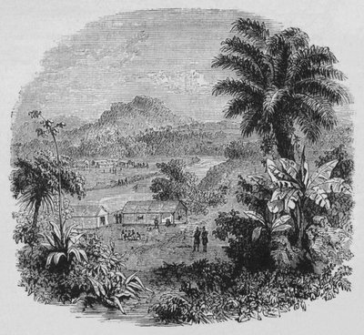 Veduta di Caienna, c1880 da Unbekannt