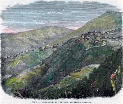 Veduta di Newcastle, nelle Blue Mountains, Giamaica, c1880 da Unbekannt