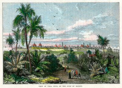 Veduta di Vera Cruz, sul Golfo del Messico, Messico, c1880 da Unbekannt