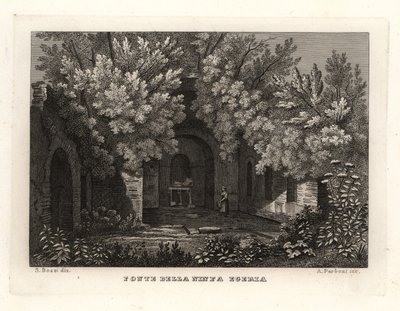 Veduta della Fonte della Ninfa Egeria, Parco Cafarella, Roma da Unbekannt