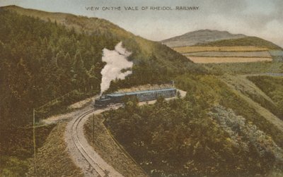 Vista sulla Vale of Rheidol Railway, inizio XX secolo da Unbekannt