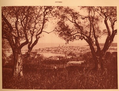 Vista attraverso gli ulivi verso Antibes, 1930 da Unbekannt