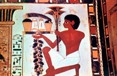 Pittura Murale, (dettaglio), Servo con Offerte, Cappella di Menna, Tebe da Unbekannt