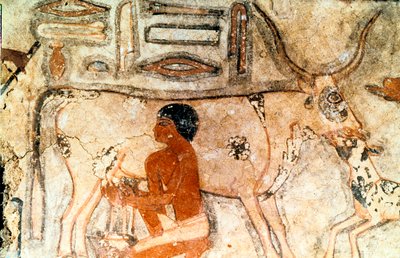 Pittura murale dalla tomba di Methethi, Saqqara, Antico Egitto, Antico Regno da Unbekannt