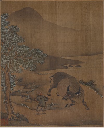 Bufalo d
