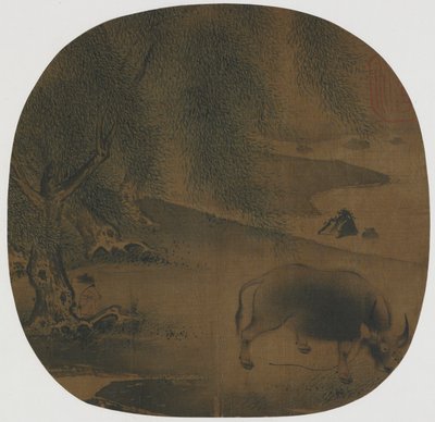 Bufalo d