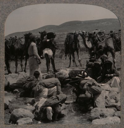Abbeveramento dei cammelli al pozzo di Giacobbe, c1900 da Unbekannt