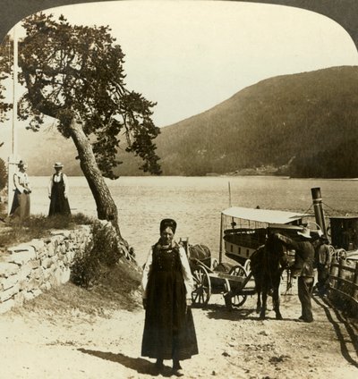 Quando il battello a vapore arriva al molo di Tinoset - vista attraverso Tinsjo verso le colline, Norvegia da Unbekannt