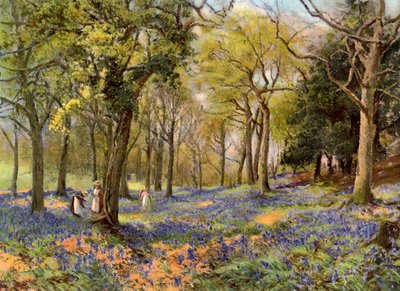 Giacinti selvatici in un boschetto del Surrey, 1906 da Unbekannt