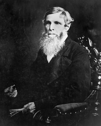 William Froude, ingegnere e architetto navale inglese, c 1870 da Unbekannt