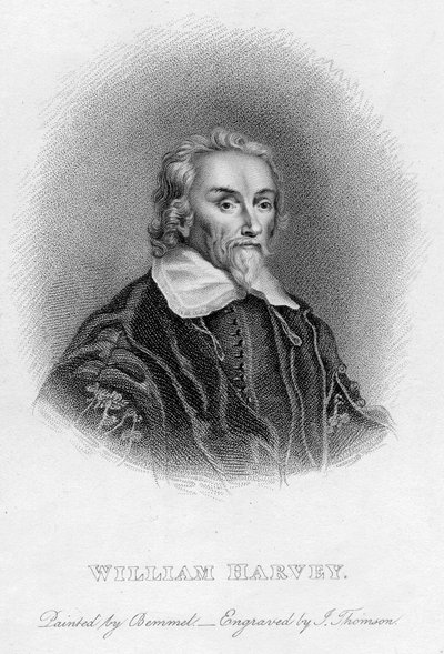 William Harvey 1578-1657 medico inglese, XVII secolo da Unbekannt