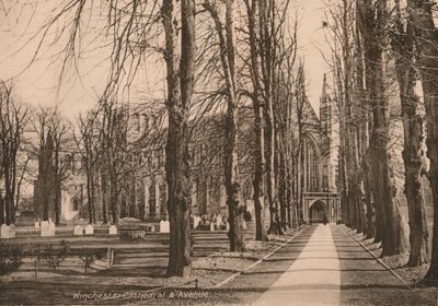 Cattedrale di Winchester e Viale, Hampshire, inizio XX secolo da Unbekannt