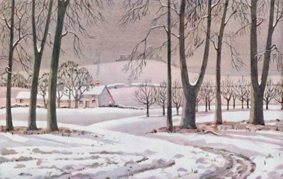 Inverno - I cambiamenti fisici, chimici e biologici causati dal sole durante l