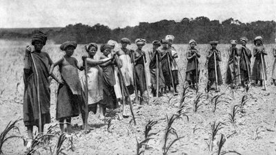 Donne che zappano un campo di mais, Sudafrica, ca 1923 da Unbekannt