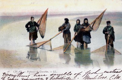 Donne pescatrici di gamberetti, Calais, 1905 da Unbekannt