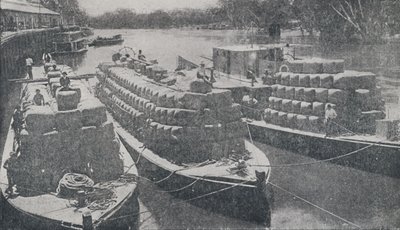 Chiatte di lana sul fiume Murray, 1923 da Unbekannt