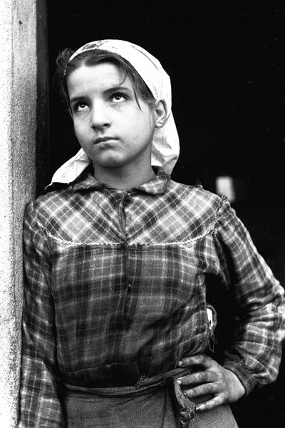 Giovane ragazza che lavora come raccoglitrice di olive in Calabria, Italia, c.1955 da Unbekannt