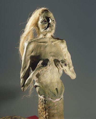 Creatura metà donna, metà serpente, progenie di Melusina, 1900 da Unbekannt Unbekannt