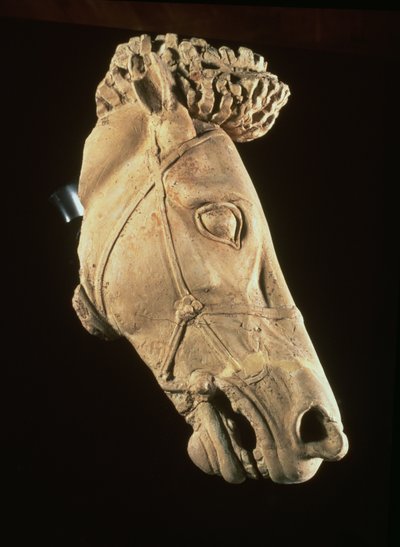 Testa di cavallo, IV-V secolo a.C. da Unbekannt Unbekannt