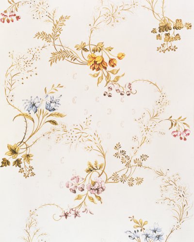 Design floreale asimmetrico rococò di Anna Maria Garthwaite, 1744 da Unbekannt Unbekannt