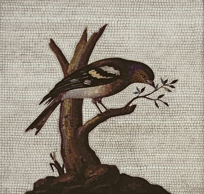 Mosaico romano di un uccello su un albero da Unbekannt Unbekannt