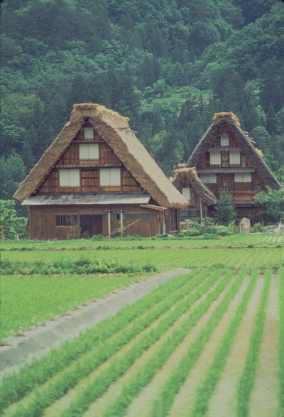 Villaggio di Shirakawa, Giju, Giappone da Unbekannt Unbekannt
