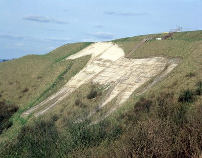 Il cavallo bianco di Westbury da Unbekannt Unbekannt