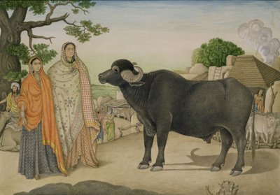 Due donne del villaggio e un bufalo nel villaggio di Rania, c.1816, indiano da Unbekannt Unbekannt